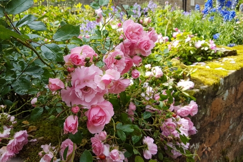 09 Thea website 2019