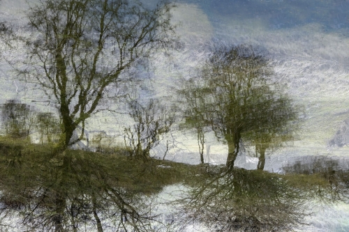 10 WillyNihot surrealistisch landschap