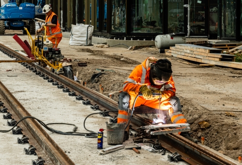 17. FLV-11-19-harm02-2