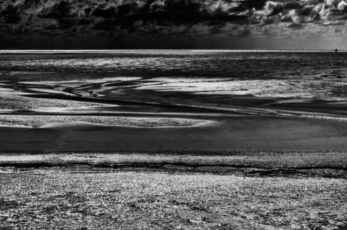 18. FLV-01.07-helga-02