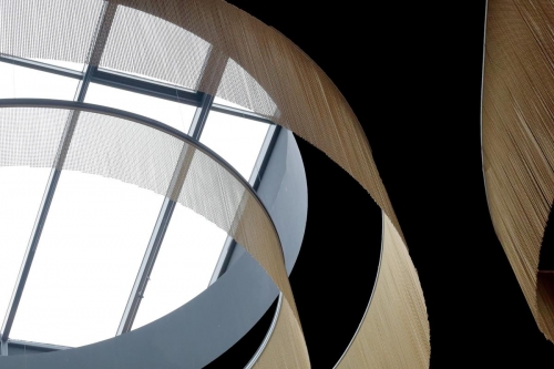 FLV-07.15-David-04 (Copy)